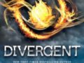 Divergent Book